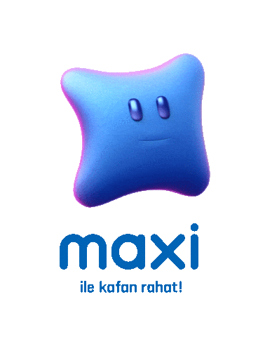 Maxi Ok Sticker by Maximum Kart