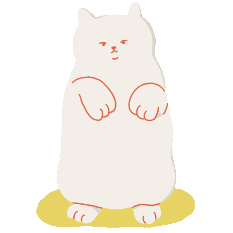 Cat What Sticker