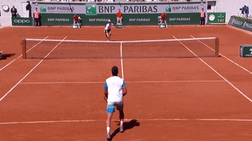 novak djokovic sport GIF by Roland-Garros