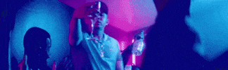 p_lo party rapper duo turn up GIF