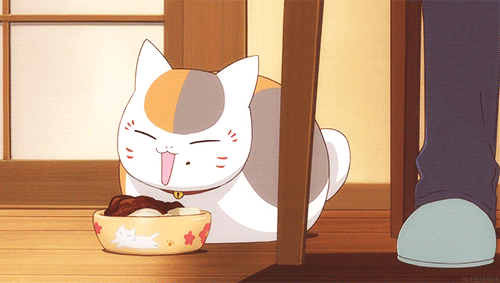 Image result for cat food anime gif