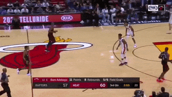 Miamizone GIF