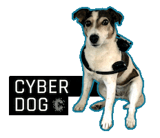 Dog Sticker by Lunik2