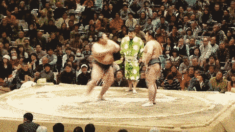 Sumo Wrestler Gifs Get The Best Gif On Giphy