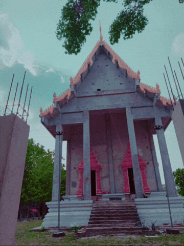 GIF by ellaknor