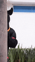 Chi sará il nuovo DS 200.gif?cid=a0a8deb3820jj26r3c47g24sdv01pgtf0a6r8899gp1bhjsw&rid=200
