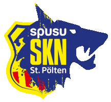 Logo Bundesliga Sticker by SKN St.Pölten Frauen