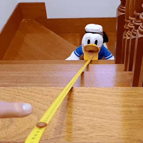 Donald Duck GIF