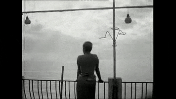 scienceviz sonne halt ferry radax konrad bayer GIF