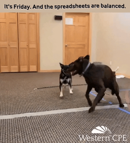 Friday GIF by WesternCPE