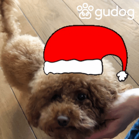 Christmas Dogs GIF by Gudog