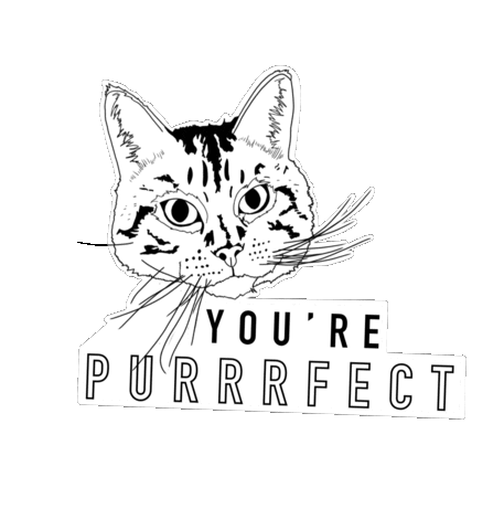 Cat Sticker