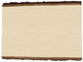 Walnut Hollow GIF