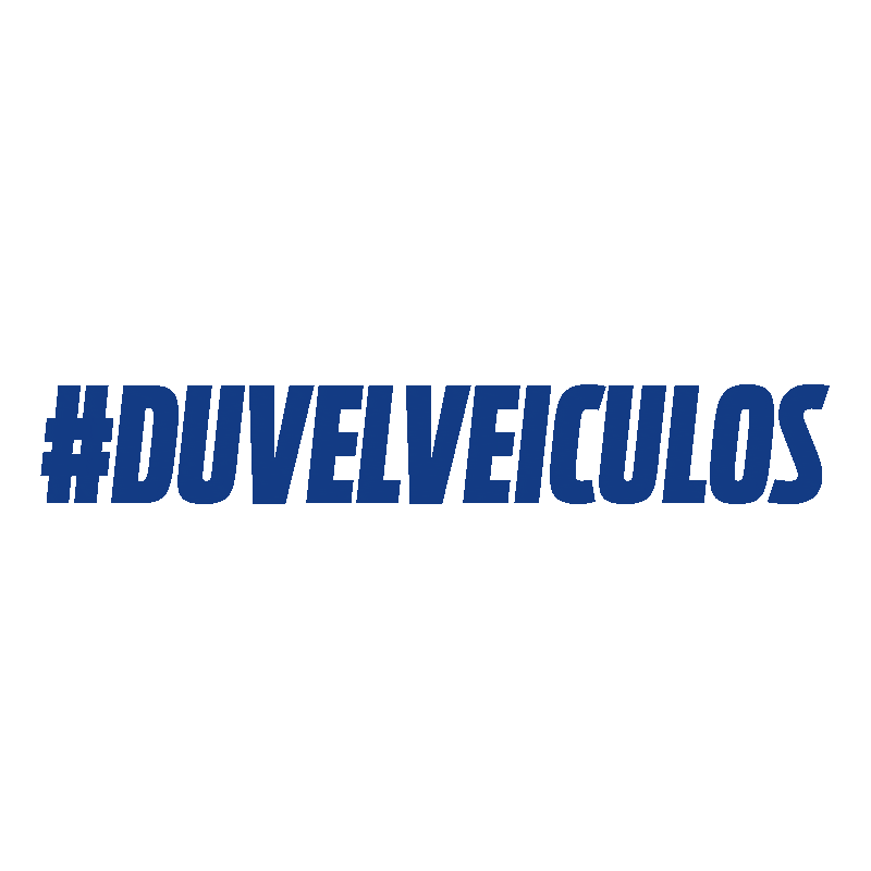 Ford Sticker by Duvel Veículos