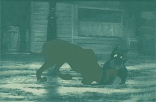 Detective Bloodhound GIF by happysterbie