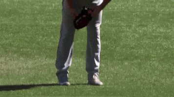 Disappointed Minnesota Twins GIF by Sorry We're Closed