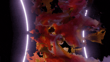 200.gif?cid=fc005b08c72d96f233fe5b850183730b02ca92e101a9c103&rid=200.gif&ct=g
