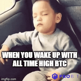 All Time High Bitcoin GIF by ProBit Global