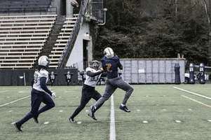 Excited American Football GIF by XFL