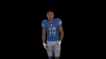 St Brown Shrug GIF by Detroit Lions