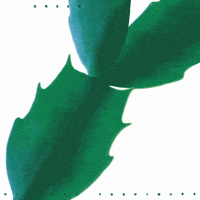Green GIF by Light In The Attic