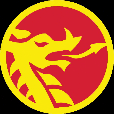 picture Fire Circle Gif fire dragon gif by bcb international