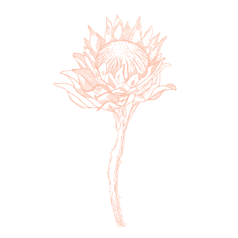 Shapes Sticker