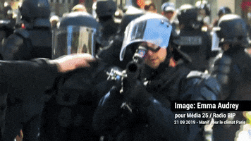Police GIF