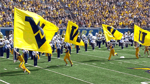 Ncaa Sports Football GIF by WVU Sports