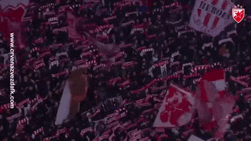 Red Star Fans GIF by FK Crvena zvezda