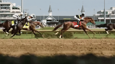 Horse Racing Animated Gif