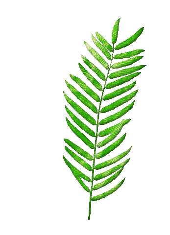 Source: Trent Shy Source: Trent Shy