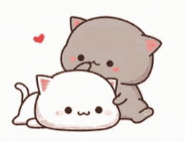 Cat Love GIF by NGcorpvtc