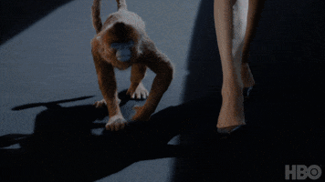 200.gif?cid=fc005b083900aed0c04df17c9200699cebe782a6ccb31d8d&rid=200.gif&ct=g