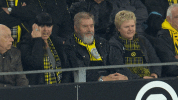 Borussia Dortmund Fans GIF