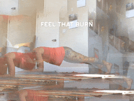 Plank Feel The Burn GIF by @thevfitstudio