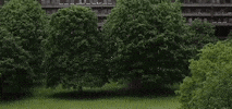 The Architecture Foundaton GIF