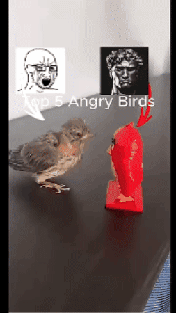 Animated GIF