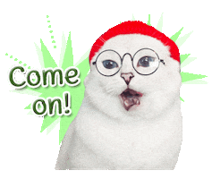 Come On Cat Sticker