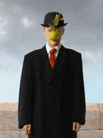 200.gif?cid=fc005b08d640cb676563ecdba13cfe988fbcae94ab644156&rid=200.gif&ct=g