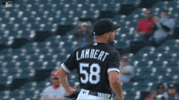 Screaming White Sox GIF by Chicago White Sox