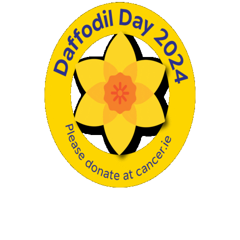 Daffodil Day Sticker by irishcancersociety
