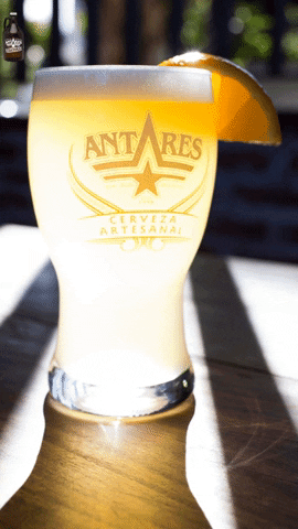 antareslaplata beer argentina cerveza bottle GIF