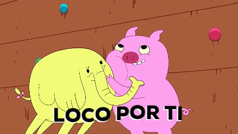 giphy.gif