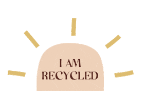 Stone Fox Swim Sticker