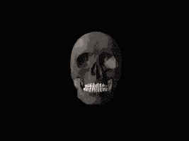 NST Supply GIF