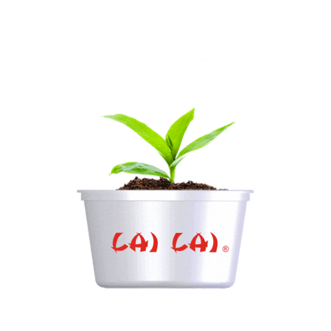 Restaurantes Lai Lai Sticker