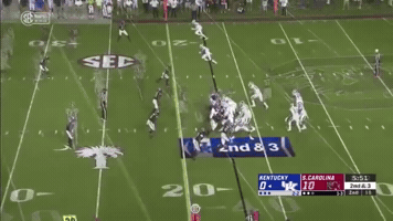 Lynnbowden GIF
