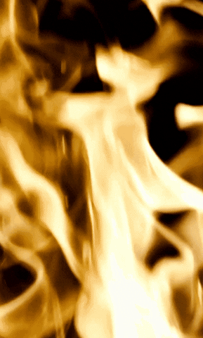 Lemvig-Thyborøn Håndbold GIF