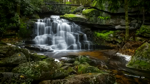west virginia GIF